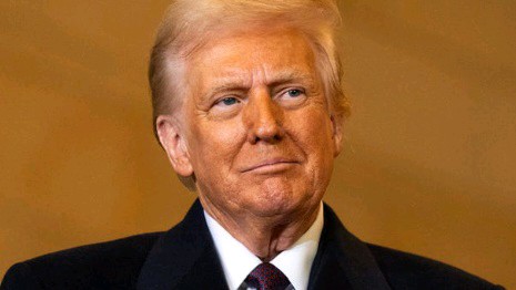 Trump Tariffs Spike Prices: 2025 Christmas Tree Market Feels the Squeeze